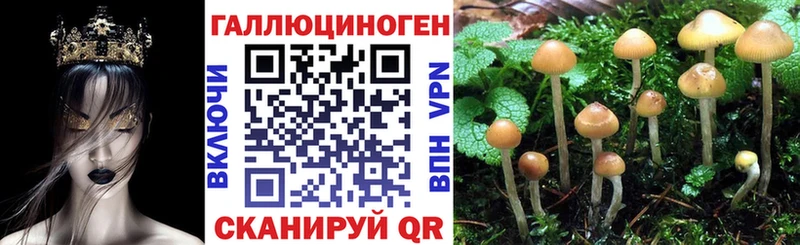 закладки Горячеводский мега маркетплейс Псилоцибиновые грибы Cubensis